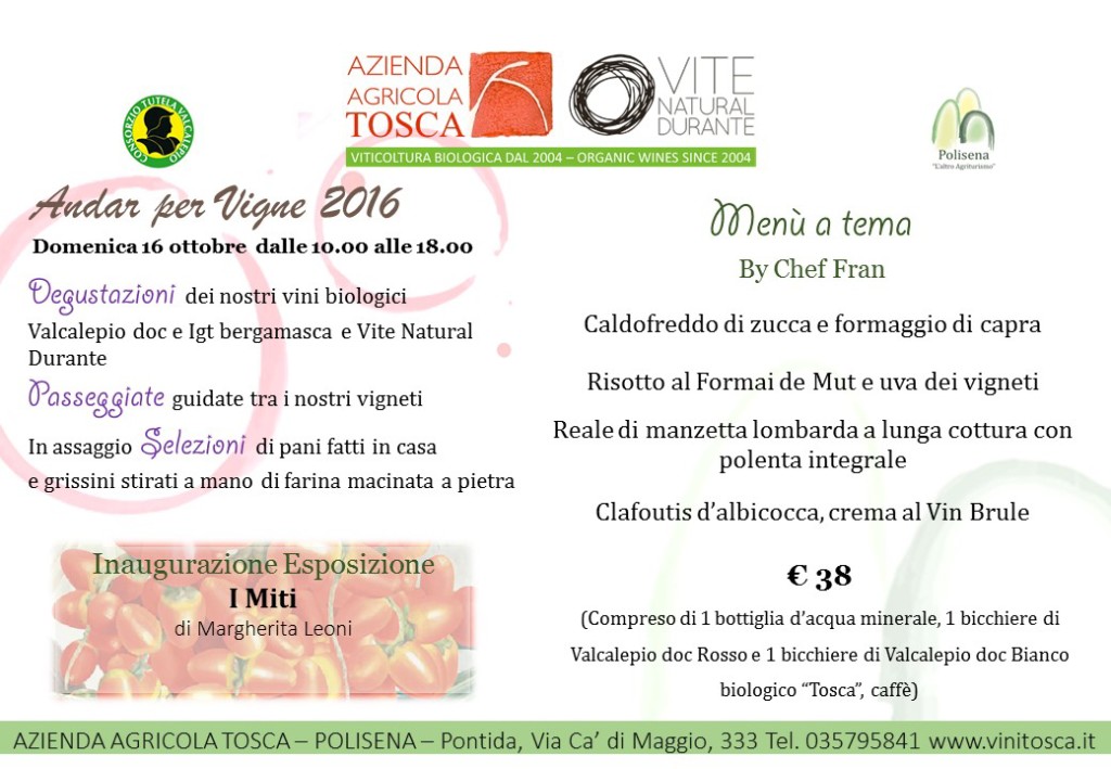 andar-per-vigne-2016